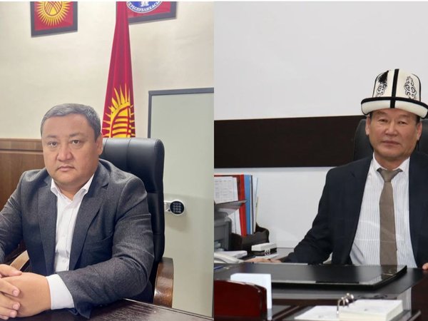 WhatsApp Image 2025-12-05 at 09.33.27