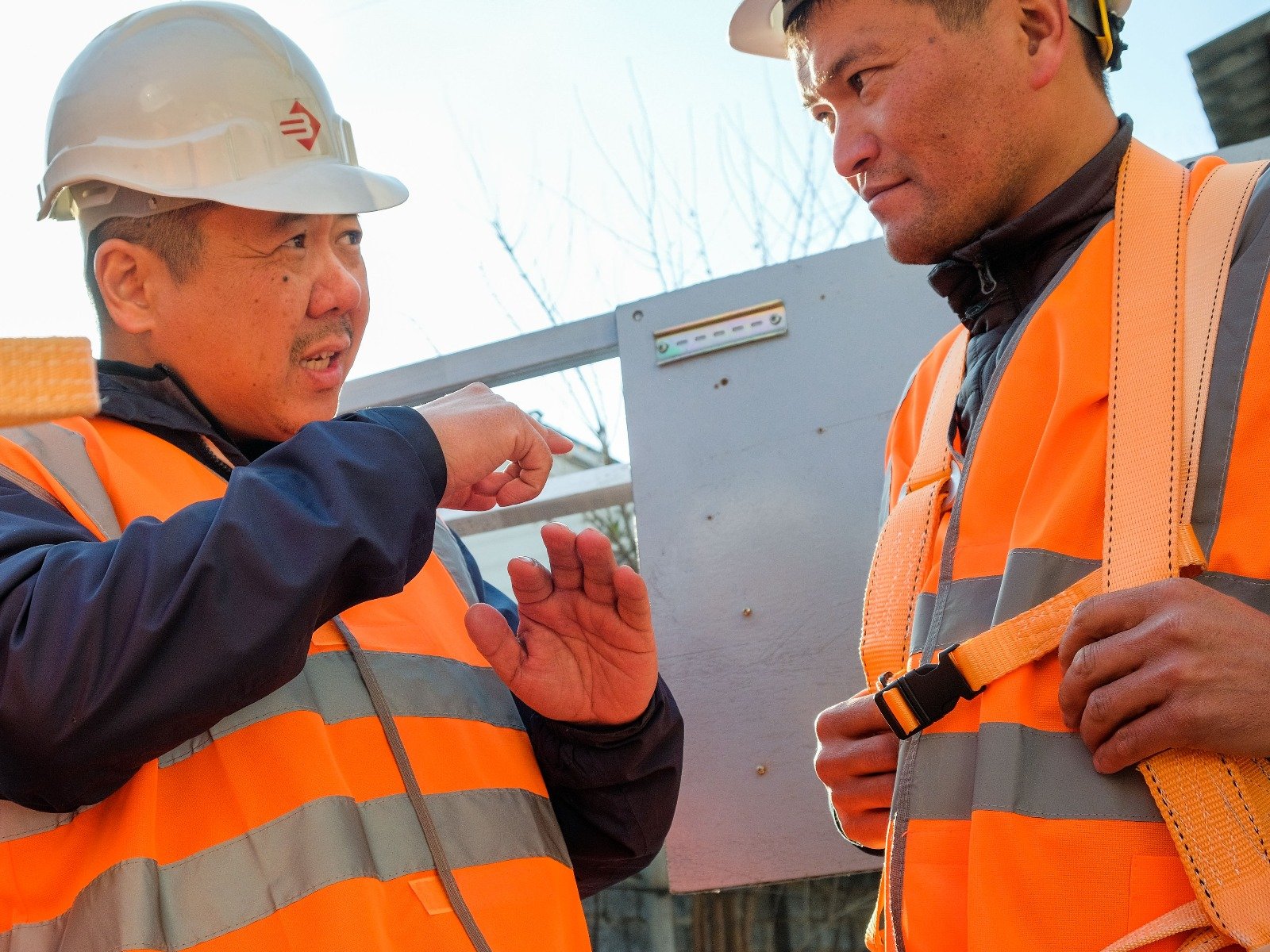 WhatsApp Image 2025-12-12 at 14.25.16