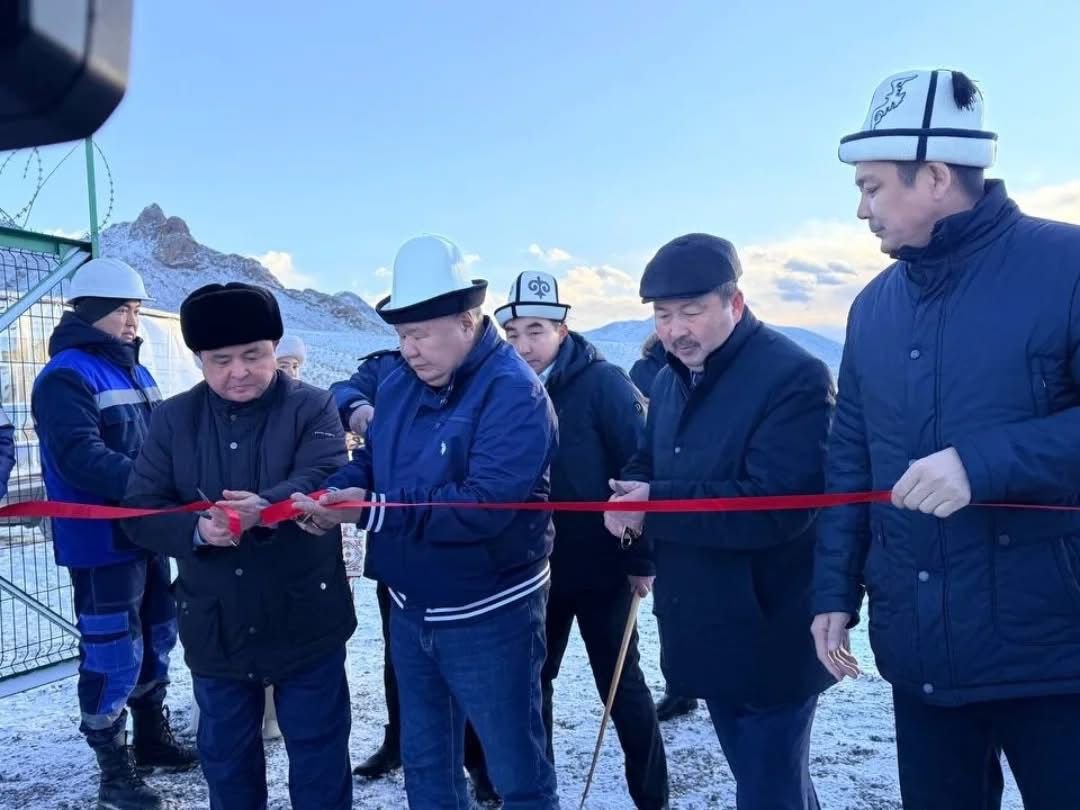 WhatsApp Image 2026-01-29 at 14.12.56